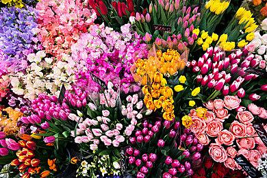 《暗黑破坏神4》通行证售价10美元 赛季为期三个月